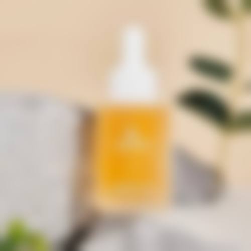 预约优惠活动