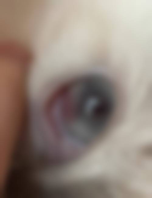 预约优惠活动