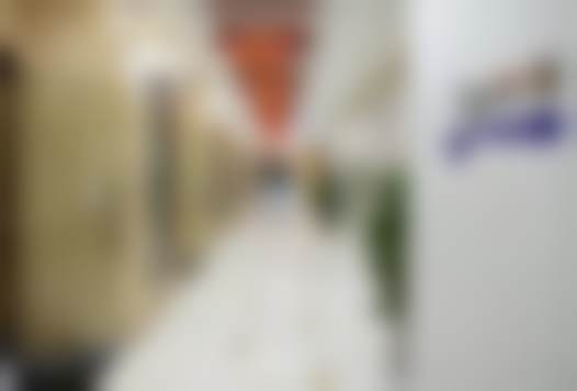 擅长项目详解