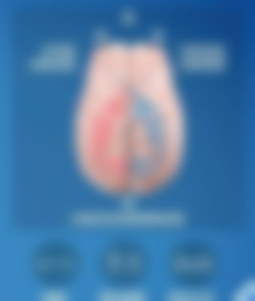 诊疗特色总结