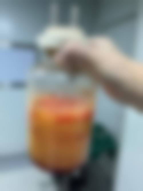 特色项目与技术