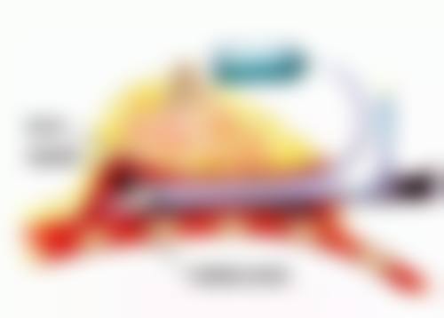 青岛鑫华悦汇美整形医院基本信息