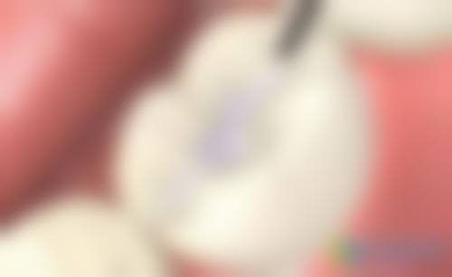 交通与预约:方便快捷,随时服务