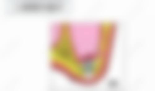 擅长项目详解